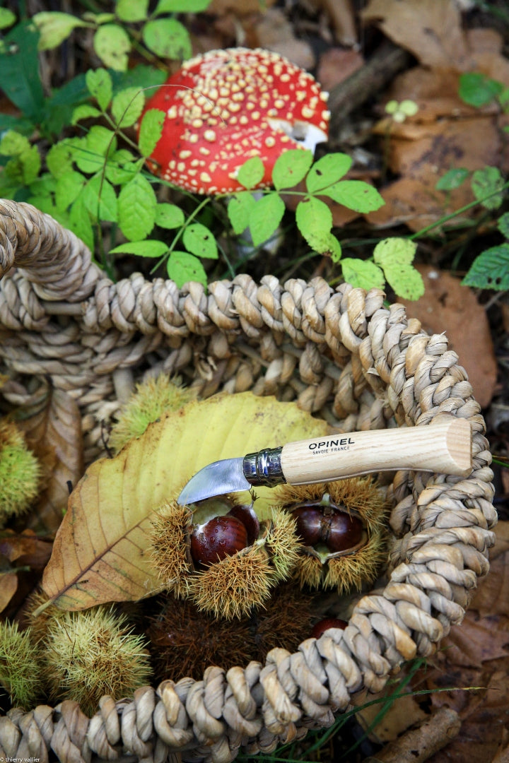 Opinel N°07 Chestnuts, Garlic, Pitt | Chestnut, Garlic & Pitt