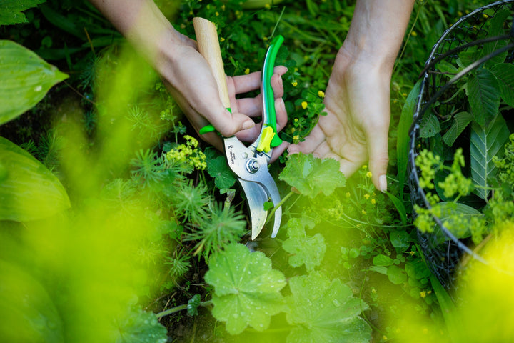 My garden tools