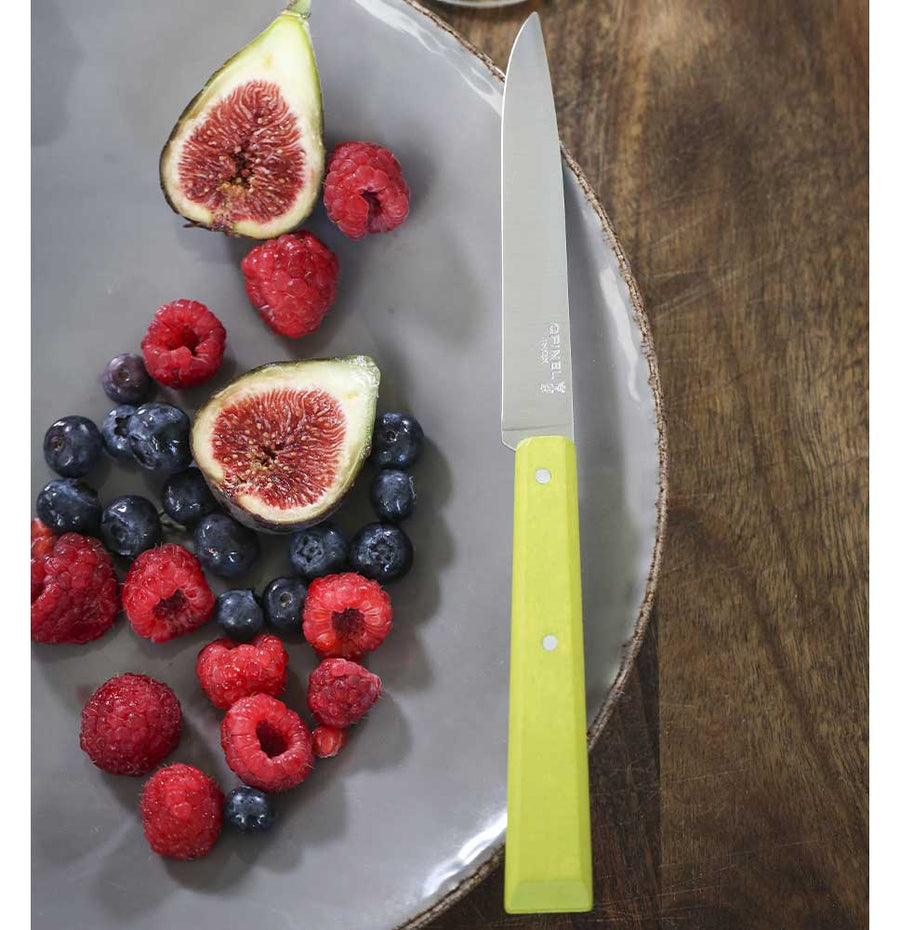 Bon Appetit Table Knife N°125 - Pack of 12